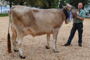 schneuter mittlere jongleur kitty fredi diethelm